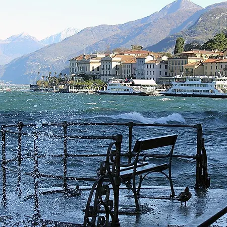 Tilia * Bellagio